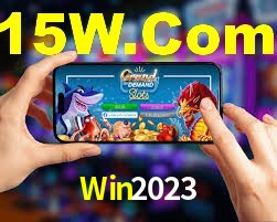 Programa VIP Win2023